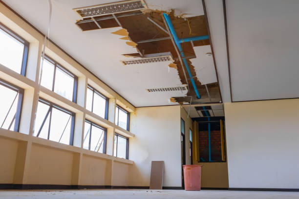 Best Ceiling water damage repair  in Dodge Center, MN