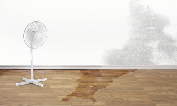 Water damage restoration experts in MN