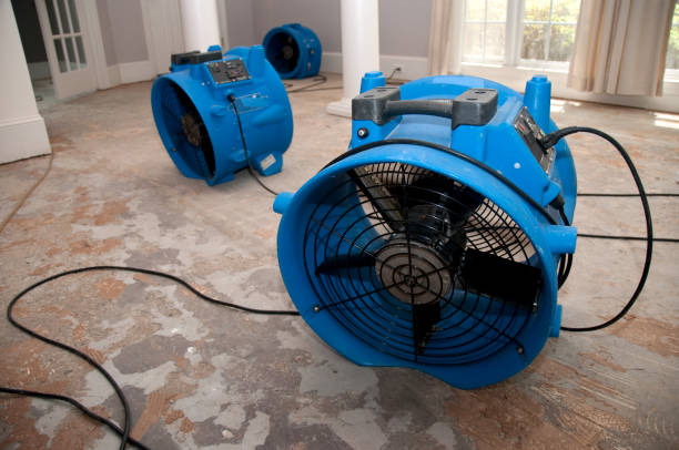 Best Water damage repair service  in Dodge Center, MN