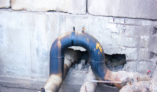 Best 24-hour water damage restoration  in Dodge Center, MN