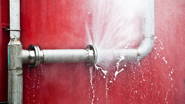 Best Water damage restoration experts  in Dodge Center, MN
